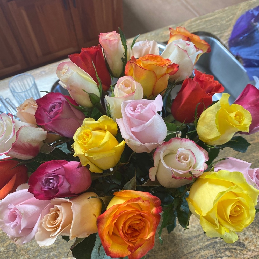 Meet your Posher, Suzanne